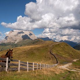 Alpe di Siusi, Dolomieten, Zuid-Tirol, Italië van Alexander Ludwig