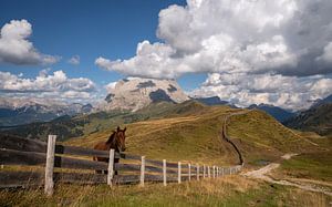Seiser Alm, Dolomiten, Südtirol, Italien