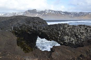 Rotspartij  nabij Vik (Ijsland)