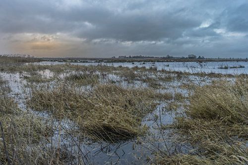 Hooge Boezem - Haastrecht sous l'eau.