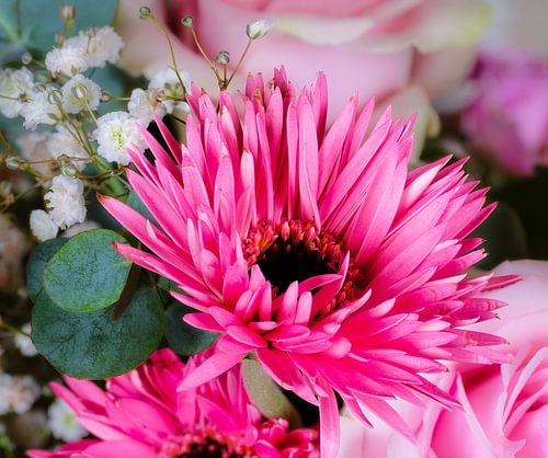 Macro d'une fleur de gerbera rose dans un bouquet de fleurs
