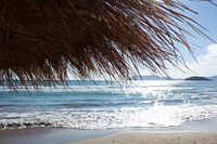 Breeze on the Beach