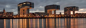 Evening on the Rhine meadows - Cologne by night by Rolf Schnepp