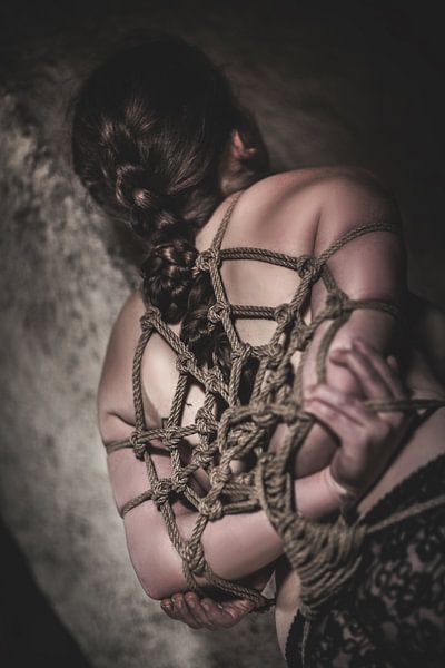 Spinnen op het dak van Catherine Mason