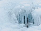 Ice sculptures by Max Schiefele thumbnail