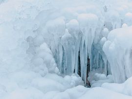 Ice sculptures by Max Schiefele