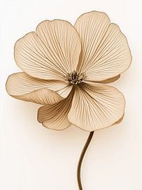 Dry flower by Bert Nijholt