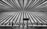 Station Luik-Guillemins (Belgie)