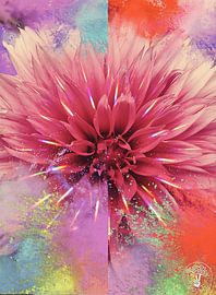 Colourful Explosion Radiate Light by treesgivepeace.nl