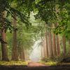 Van duister naar licht van Loris Photography