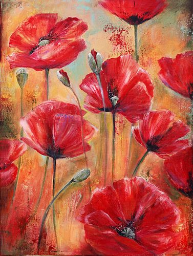 summermemories... ( poppies in the field)