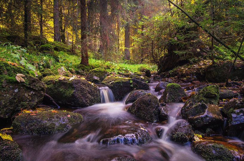 Die Bode im harz von Steffen Gierok