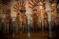 The famous arches of the Mezquita in Cordoba-Spain by Lizanne van Spanje thumbnail