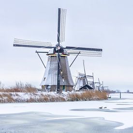 Mühlen Weltkulturerbe Kinderdijk im Schnee von Mark den Boer