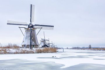 Mills world heritage site Kinderdijk in snow by Mark den Boer