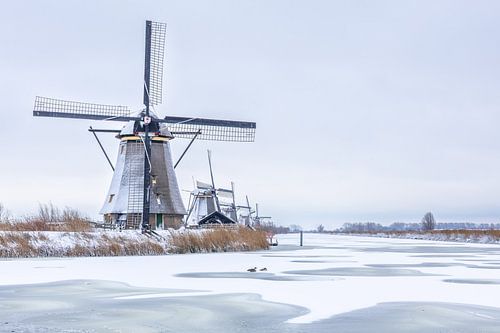 Molens werelderfgoed Kinderdijk in de sneeuw van Mark den Boer