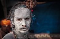 Naga sadhu op het Kumbh Mela festival in Haridwar India von Wout Kok Miniaturansicht