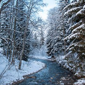 Winter Wonderland Oostenrijk van Marleen V