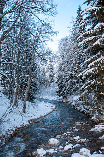 Merveilles d'hiver en Autriche