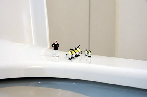 Un raccourci vers le pôle Sud ?