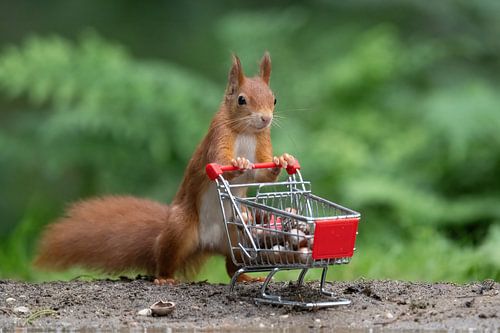 Even boodschappen doen.