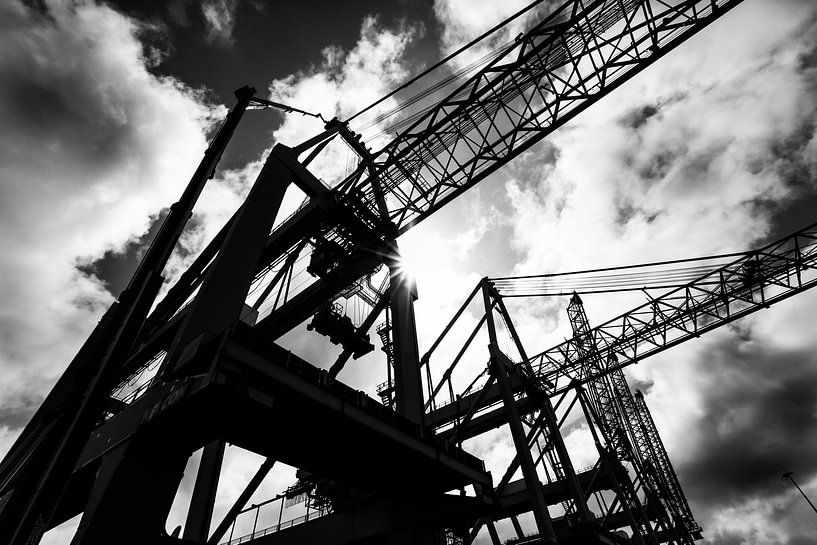 Introducing &quot;Industrial Evolution&quot;, a stunning digital art photograph that captures the be van Niels Stolk