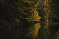 Amselsee