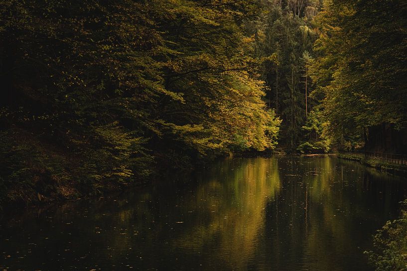Blackbird Lake by Stefanie Hürrich