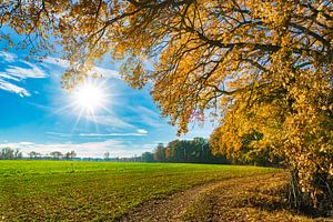 Herfst natuurlandschap op een mooie zonnige herfstdag van Alex Winter