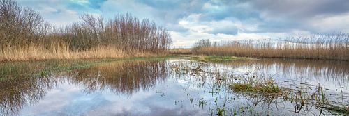 Dünengebiet Het Zwanenwater im Panorama bei Flut.
