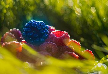 Fruit in nature 2 by SO fotografie