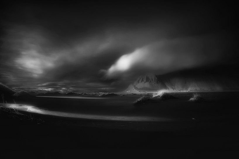Stilleben mit gelbem Eremurus von Saskia Dingemans Awarded Photographer