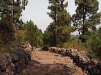 Weg zur Cueva del Viento