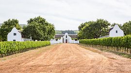 Domaine viticole en Afrique du Sud - Un voyage à travers l'histoire