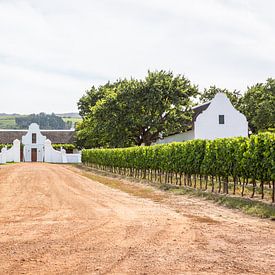 Weingut in Südafrika - Weg zur Geschichte von Patrick Kilb