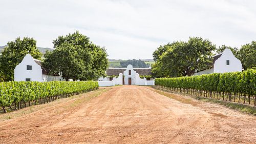 Domaine viticole en Afrique du Sud - Un voyage à travers l'histoire
