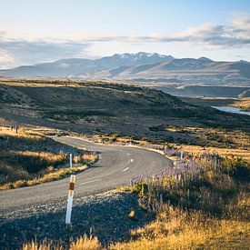 Een bochtige weg in Nieuw-Zeeland van Leon Weggelaar