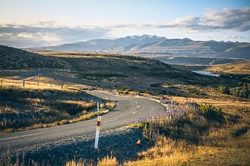 Een bochtige weg in Nieuw-Zeeland van Leon Weggelaar