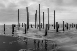 Palendorp Petten 5