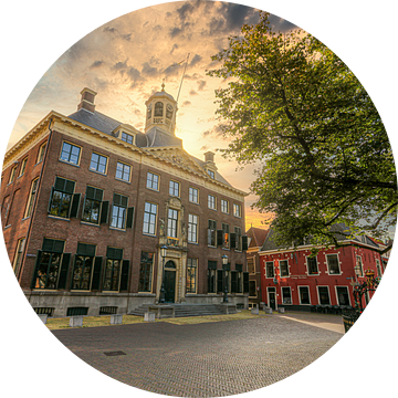 Het Stadhuis van Leeuwarden van Martijn