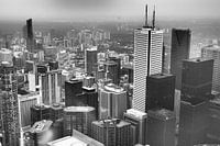 Toronto City