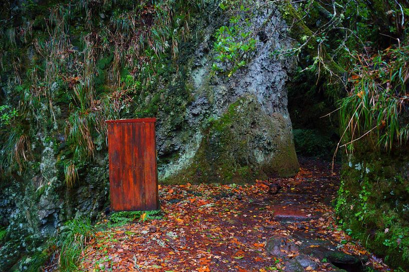 Rood hokje en grijze rotsen in Madeira van Michel van Kooten