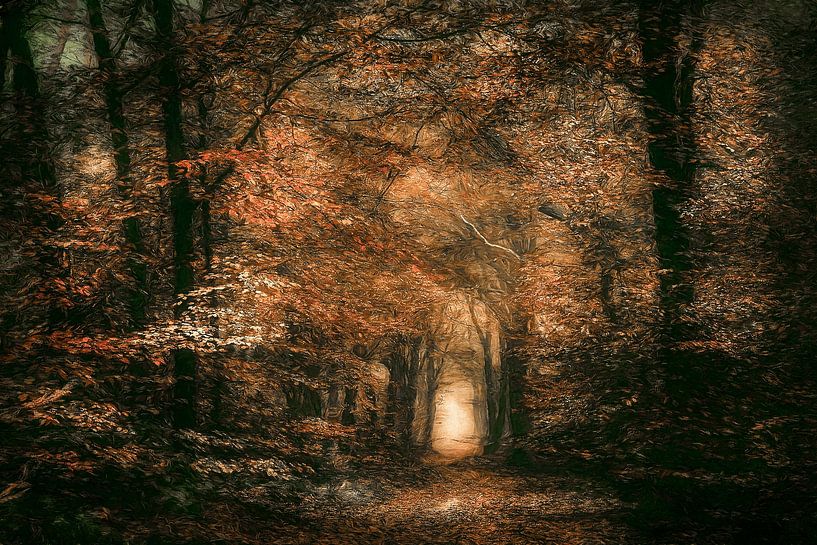 Tiefer Fall von Lars van de Goor