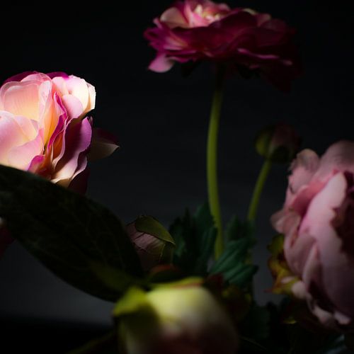 Kunstmatige schoonheid 1