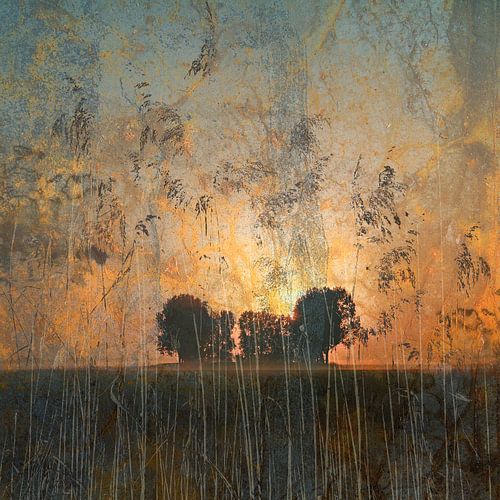 Landscapes_Landshapes 4 van Mark Isarin | Fotografie