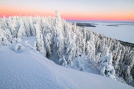 Großansicht der Winterlandschaft im Koli NP von Martijn Smeets