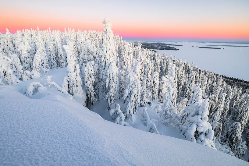 Sweeping views of winter landscape in Koli NP by Martijn Smeets
