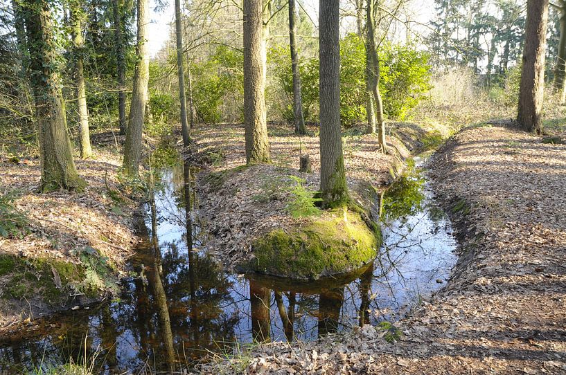 Meanderende beek von André Roes