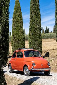 Fiat dans cypress lane (9)