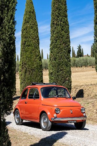 Fiat in cipressenlaan (9)